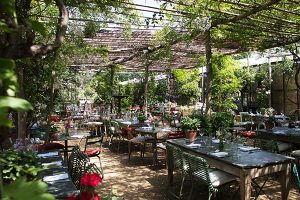 PETERSHAM NURSERIES